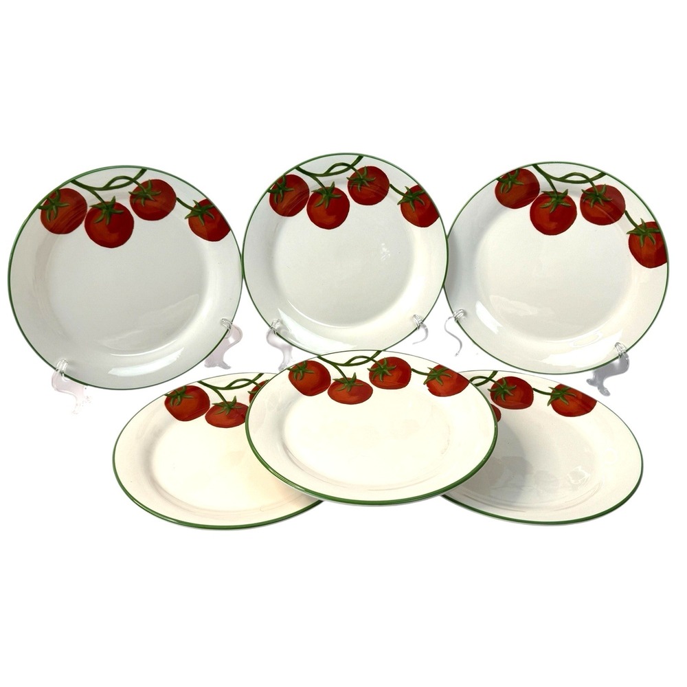 Sur La Table Tomato Vine Salad Luncheon Ceramic Plates 8 3/4" Set of 6